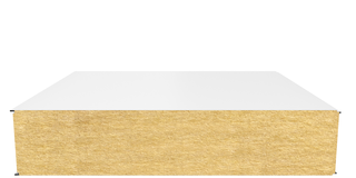 Стеновая сэндвич-панель (минеральная вата) 250 мм х 1190 мм (Гладкая)